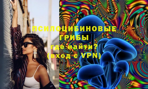 ешки Алексин