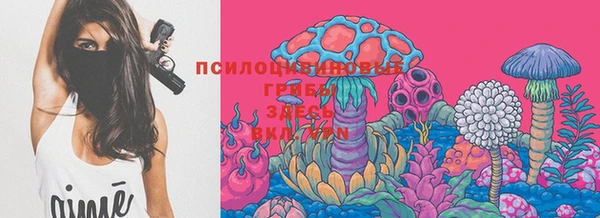 ешки Алексин